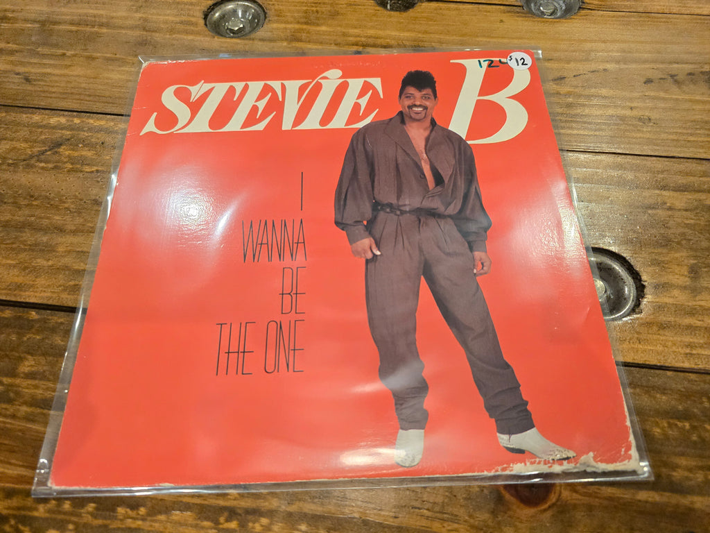 Stevie B – I Wanna Be the One (12" Single, LFR Records, LMR-4003)