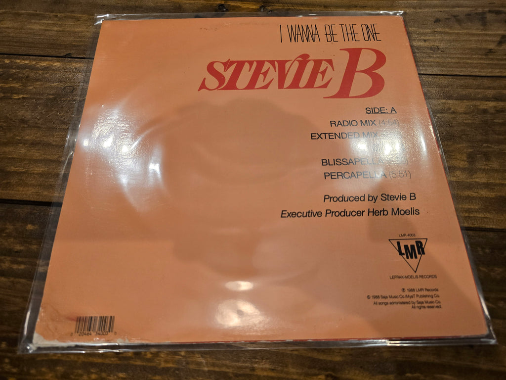 Stevie B – I Wanna Be the One (12" Single, LFR Records, LMR-4003)
