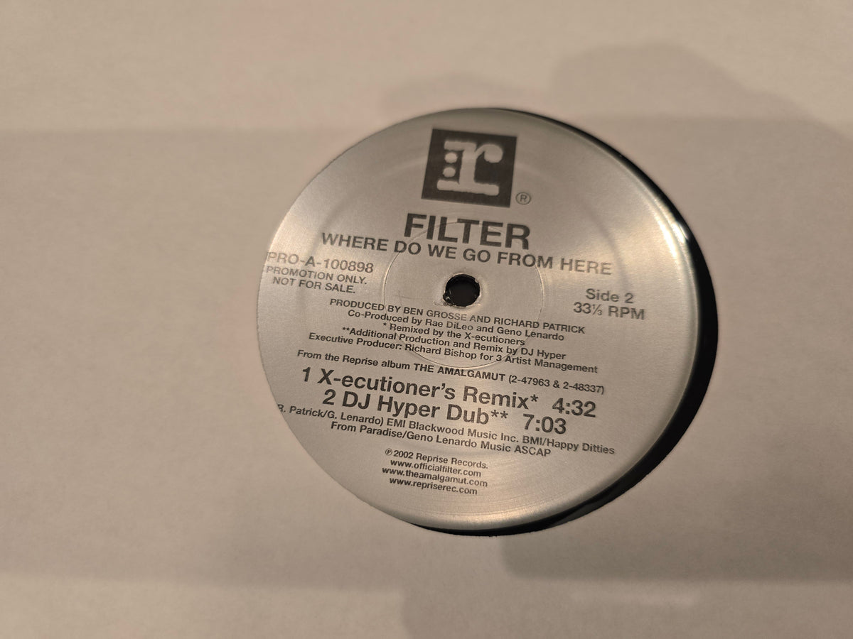 Filter – Where Do We Go from Here (2LP, Reprise Records, PRO-A-100898)