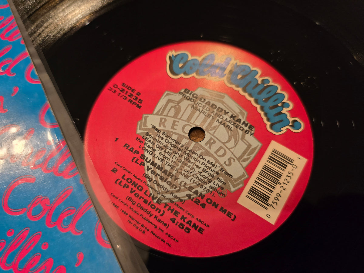 Big Daddy Kane - Rap Summary (Lean On Me) (0-21235)