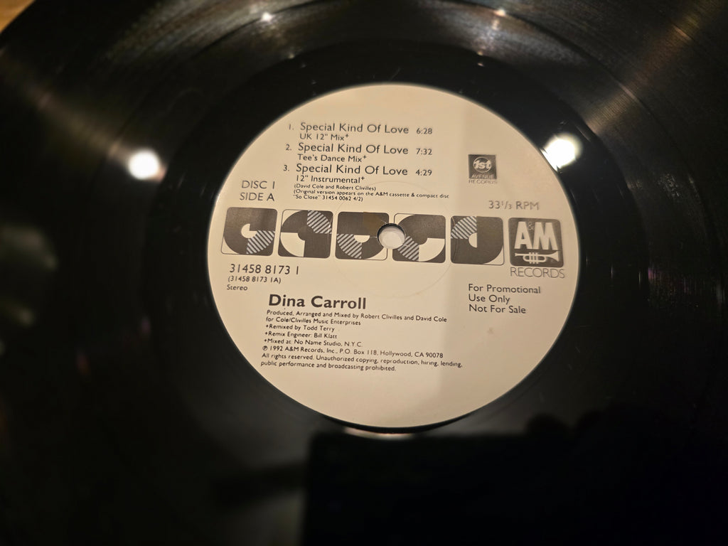 Dina Carroll - A Special Kind of Love (US Promo 2LP, A&M Records 314 588 173-1, 1993)