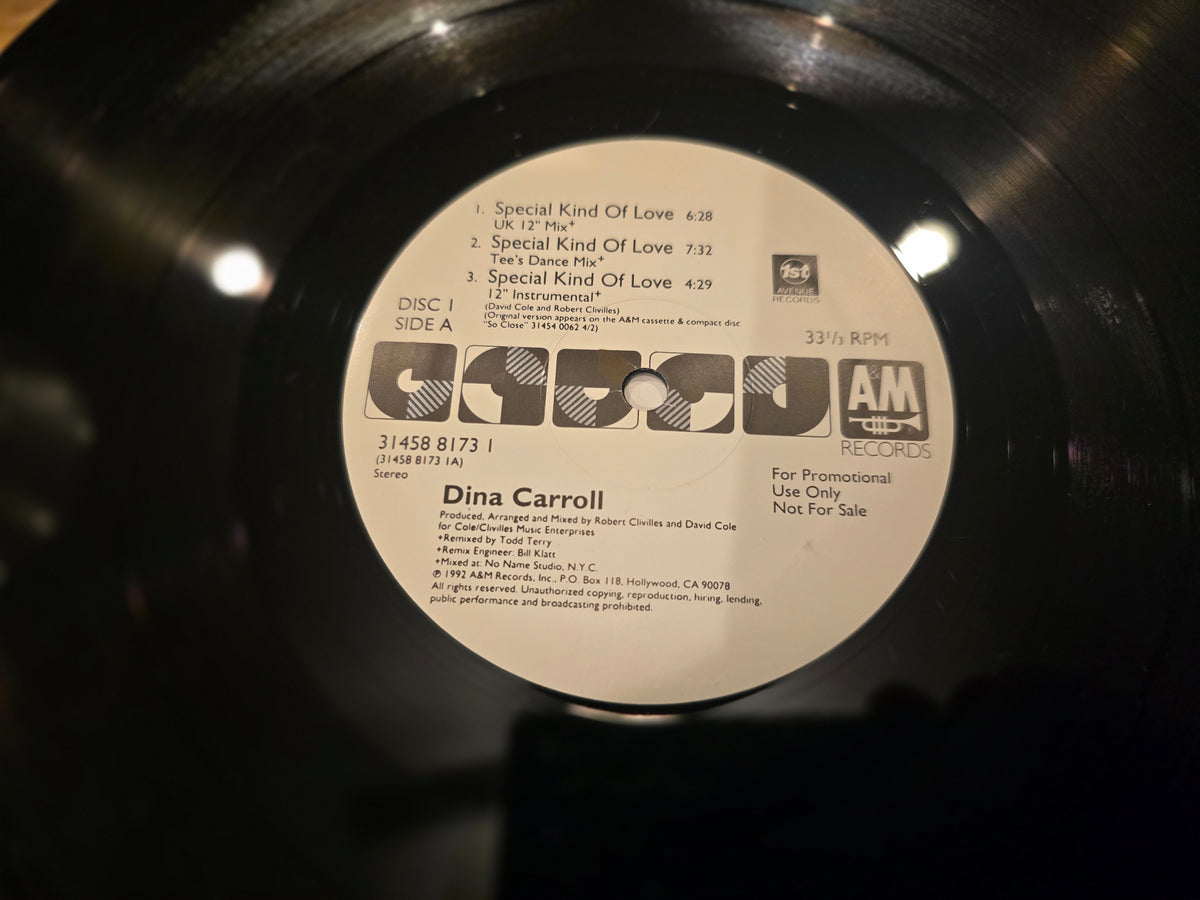 Dina Carroll - A Special Kind of Love (US Promo 2LP, A&M Records 314 588 173-1, 1993)