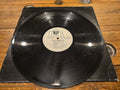 The Notorious B.I.G. – Big Poppa / Warning (US Promo 12" Single, Bad Boy 78612-79016-1, SRC First Stamper)