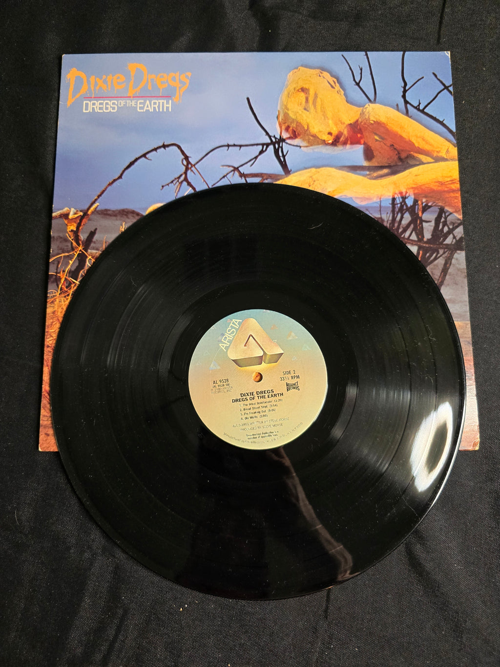 Dixie Dregs - Dregs of the Earth (AL-9528)