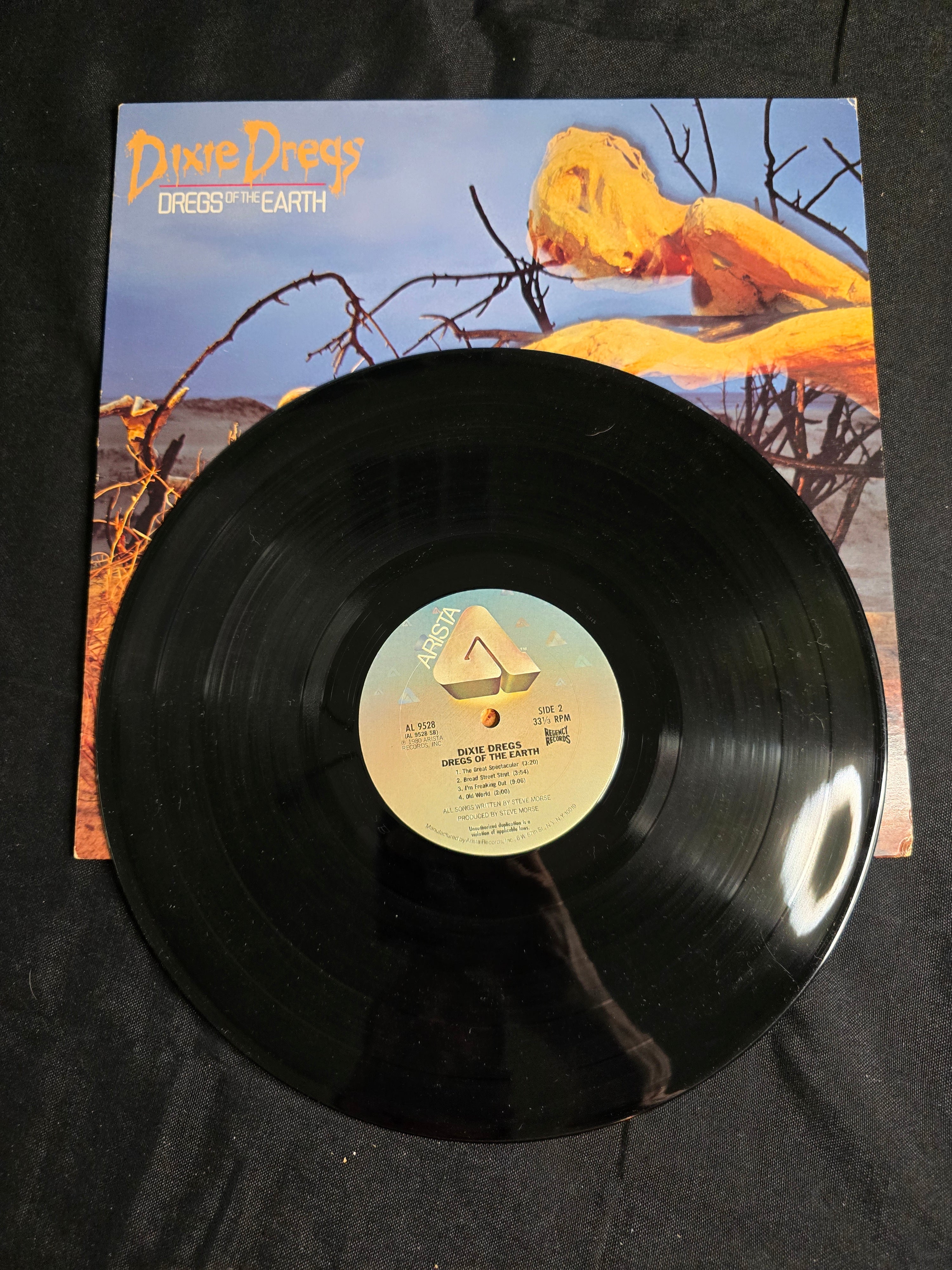 Dixie Dregs - Dregs of the Earth (AL-9528)