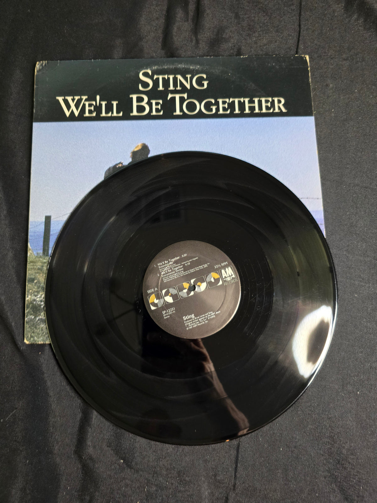 Sting - We'll Be Together (SP-12251)