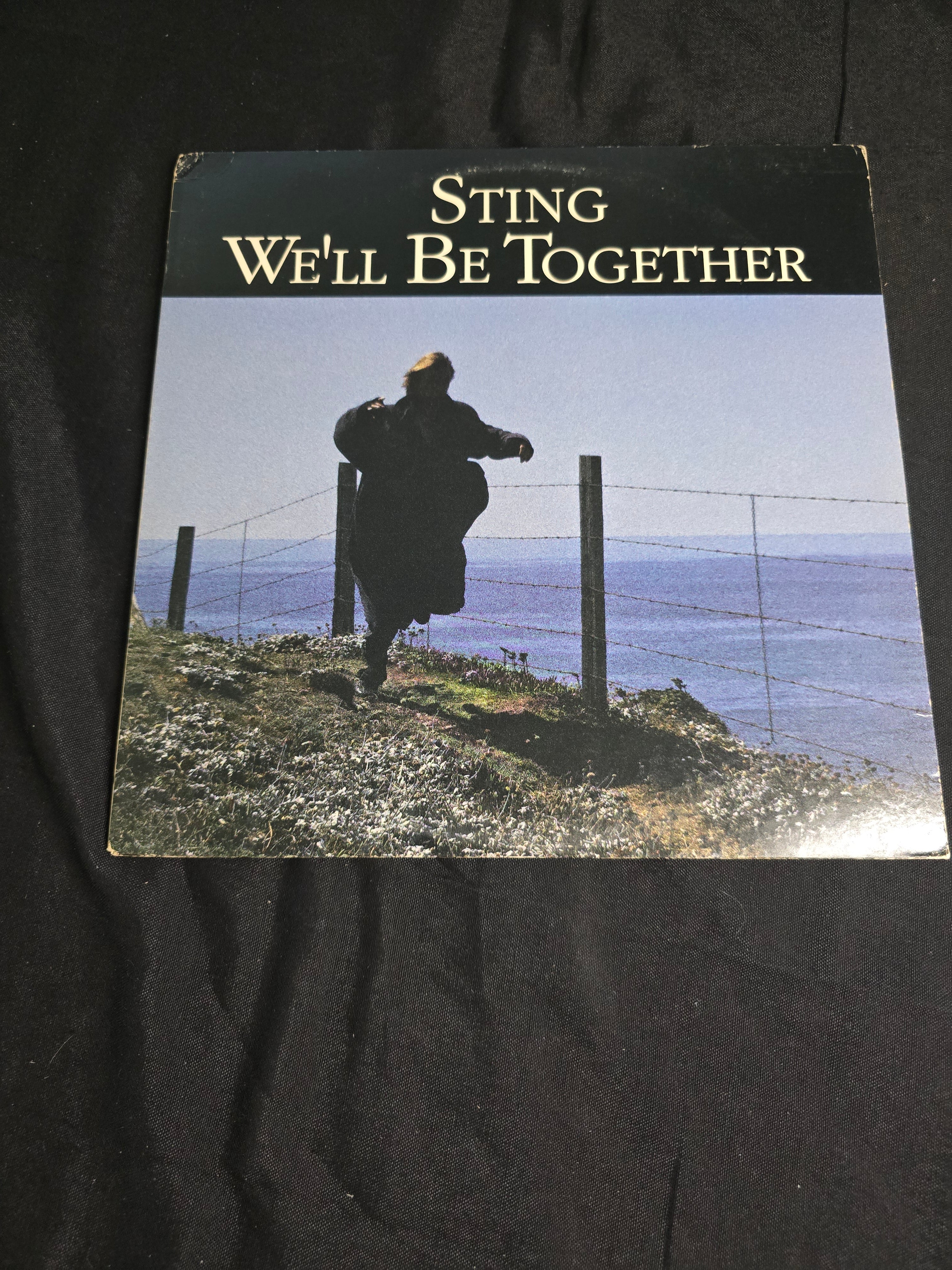 Sting - We'll Be Together (SP-12251)