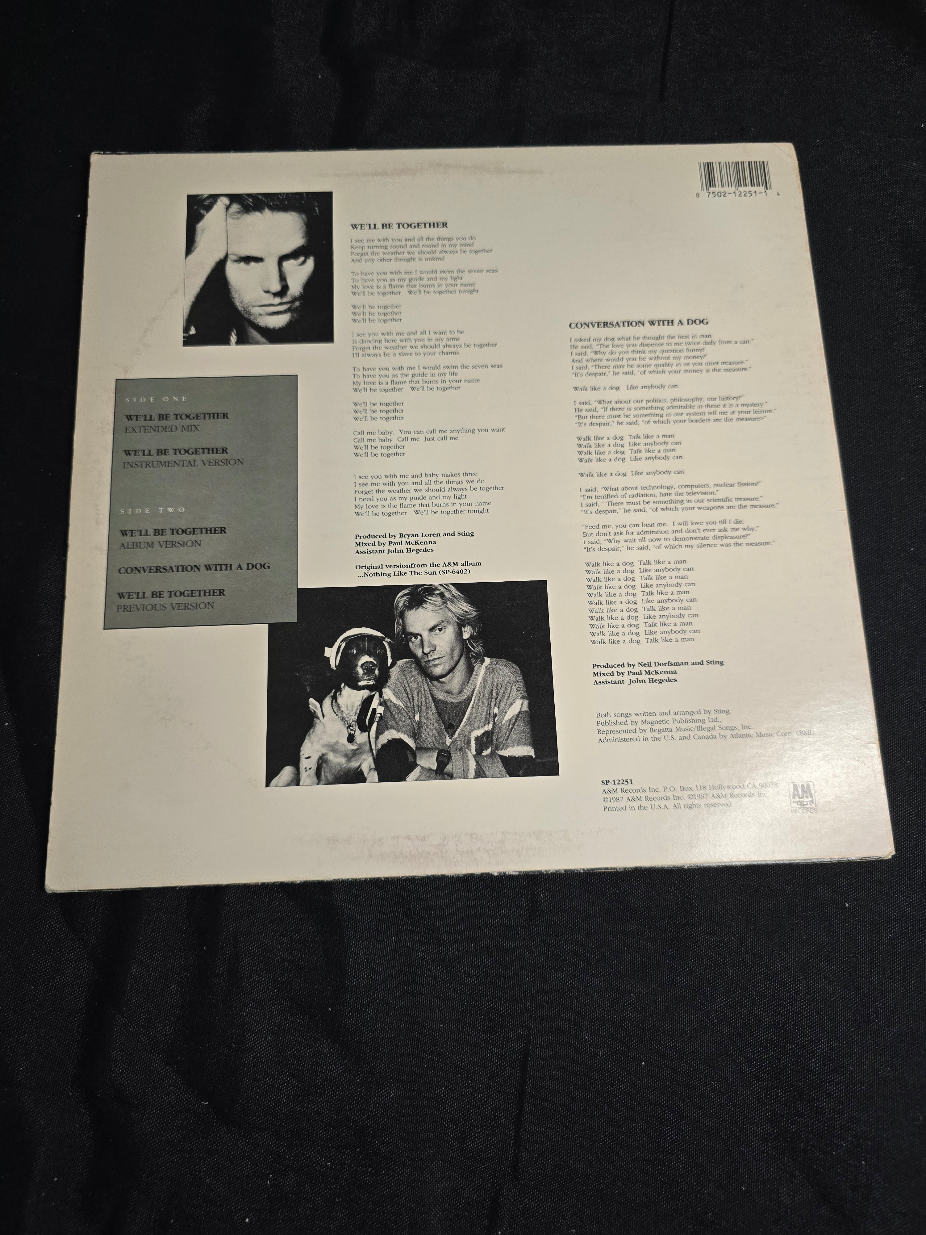 Sting - We'll Be Together (SP-12251)