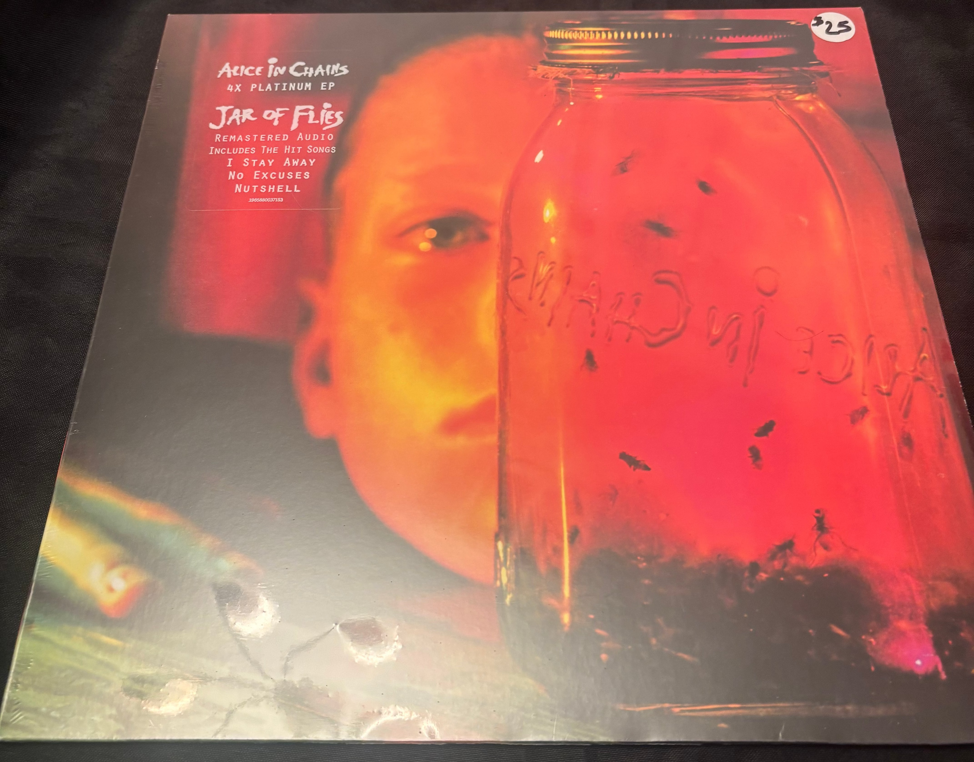 Alice in Chains – Jar of Flies (19658800371)
